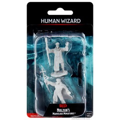 Dungeons & Dragons: Nolzur's Marvelous Unpainted Miniatures - W13 Human Wizard Male
