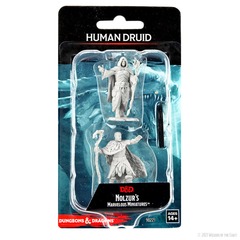 Dungeons & Dragons: Nolzur's Marvelous Unpainted Miniatures - W14 Human Druid Male