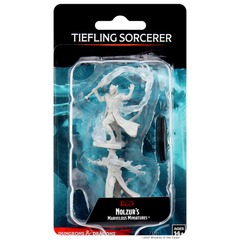 Dungeons & Dragons: Nolzur's Marvelous Unpainted Miniatures - W04 Tiefling Male Sorcerer