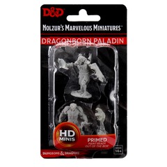 Dungeons & Dragons: Nolzur's Marvelous Unpainted Miniatures - W11 Male Dragonborn Paladin