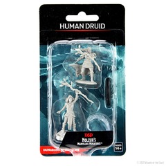 Dungeons & Dragons: Nolzur's Marvelous Unpainted Miniatures - W14 Human Druid Female