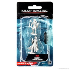 Dungeons & Dragons: Nolzur's Marvelous Unpainted Miniatures - W14 Kalashtar Cleric Female