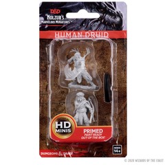 Dungeons & Dragons: Nolzur's Marvelous Unpainted Miniatures - W06 Male Human Druid