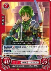 Gordin: Captured Archer B13-063N