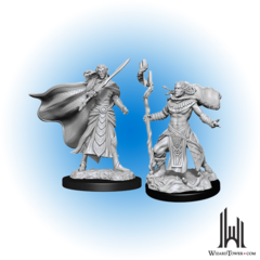 Magic the Gathering Unpainted Miniatures: Elf Fighter/Elf Cleric