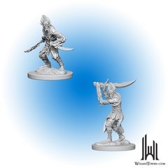 D&D Nolzur's Marvelous Miniatures: Githyanki