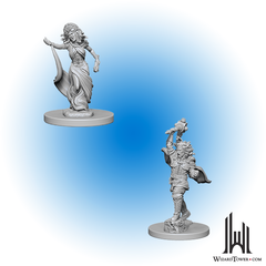 D&D Nolzur's Marvelous Miniatures: Medusas