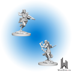 D&D Nolzur's Marvelous Miniatures: Air Genasi Rogue