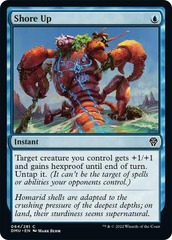 Shore Up - Foil