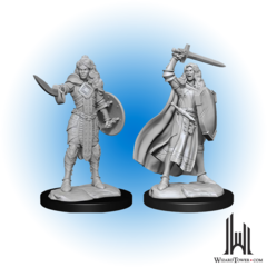 D&D Nolzur's Marvelous Miniatures: Human Champion Female