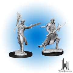 Pathfinder Deep Cuts Unpainted Miniatures: Male Elf Magus