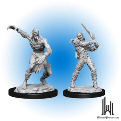 D&D Nolzur's Marvelous Miniatures: Wight and Ghast