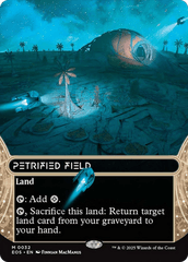 Petrified Field (0032) (Borderless)