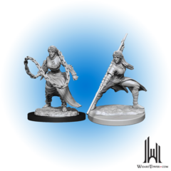 D&D Nolzur's Marvelous Miniatures: Human Monk Female W14