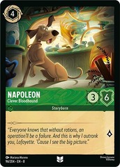 Napoleon, Clever Bloodhound (0096)