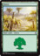Forest (269) - Foil
