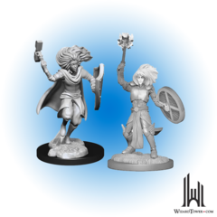 D&D Nolzur's Marvelous Miniatures: Changeling Cleric Male