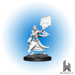 D&D Nolzur's Marvelous Miniatures: Female Elf Sorceror