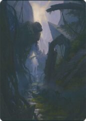 Swamp (14/81) Art Card