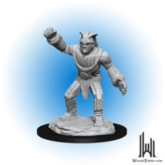 D&D Nolzur's Marvelous Miniatures: Stone Golem