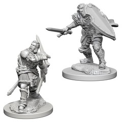 Human Paladin (Male)