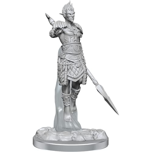 D&D Nolzurs Marvelous Miniatures: Sea Elf Fighters