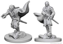 D&D® Nolzur’s Marvelous Miniatures: Vampires
