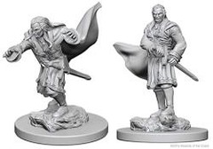 D&D® Nolzur’s Marvelous Miniatures: Vampires
