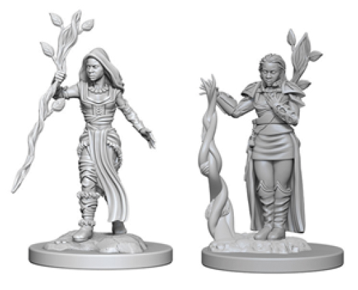 D&D Nolzurs Marvelous Miniatures - W2 Human Female Druid