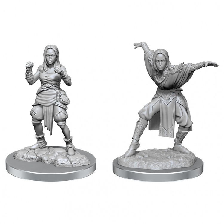 Half-Elf Monk Female