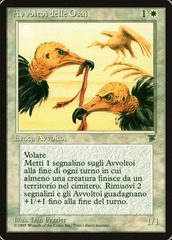 Osai Vultures (Avvoltoi delle Osai)
