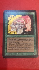 Llanowar Elves Alpha Sp (#241014)