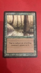 Singing Tree - Arabian Night - HP (#240807)