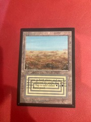 Scrubland - Collector Edition NM (#240801)