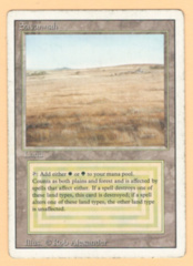 Savannah - 3rd Edition MP (#0193)