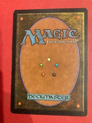 Femeref Enchantress - Vision Sp (231020)