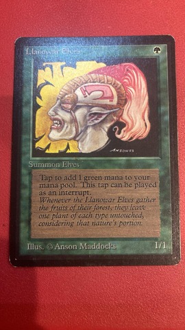 Llanowar Elves Beta Sp+ (#241015)