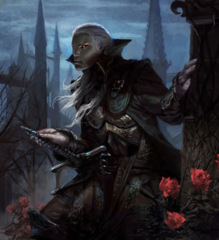 Vampire Casual Deck (60cards)