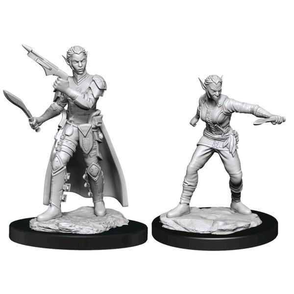 D&D Nolzurs Shifter Rogue