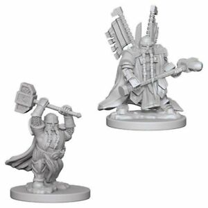D&D Nolzurs Dwarf Paladin