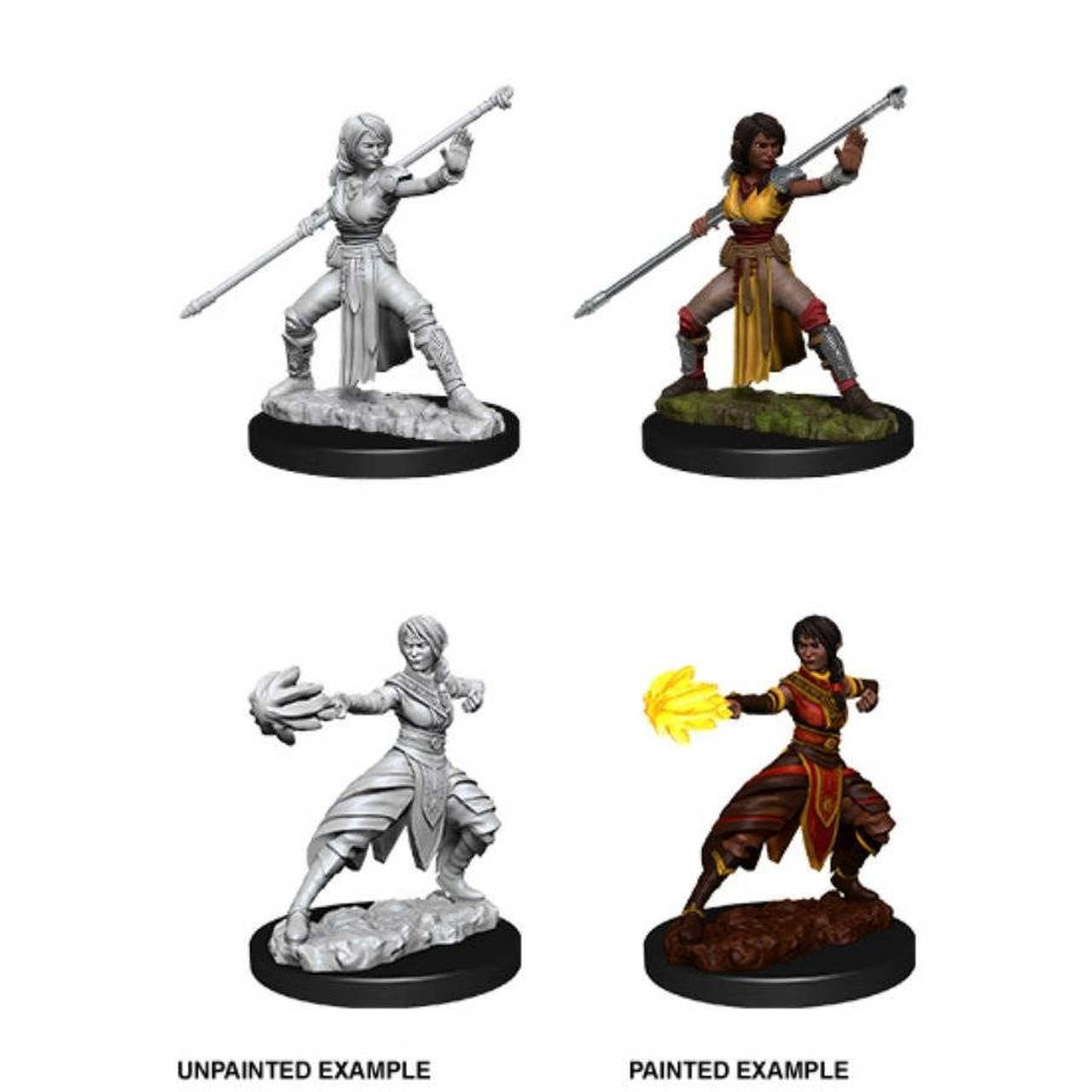 D&D Nolzurs Half-Elf Monk 399