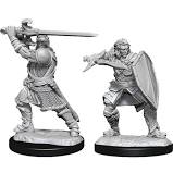 Nozlurs Human Paladin
