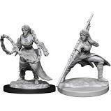 Nozlurs Human Druid