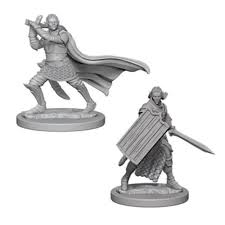 Pathfinder Deep Cuts Elf Male Paladin