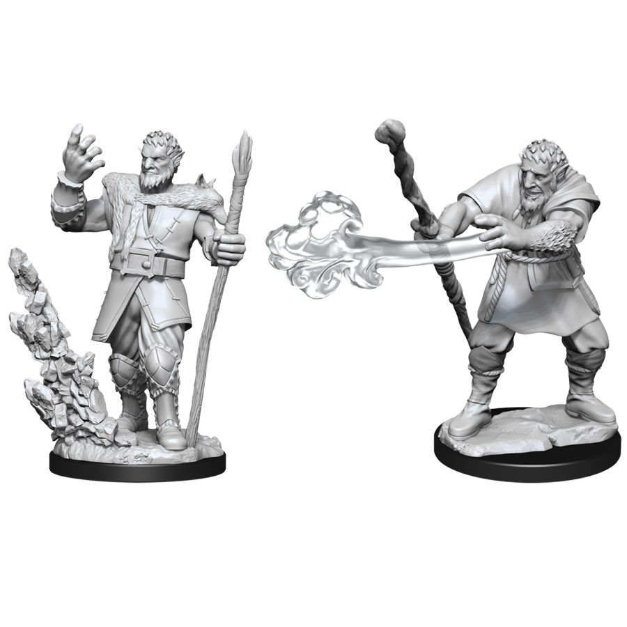 D&D NOLZURS MALE FIRBOLG DRUID