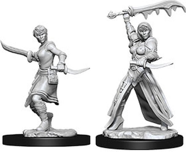 D&D Nolzurs Human Rogue