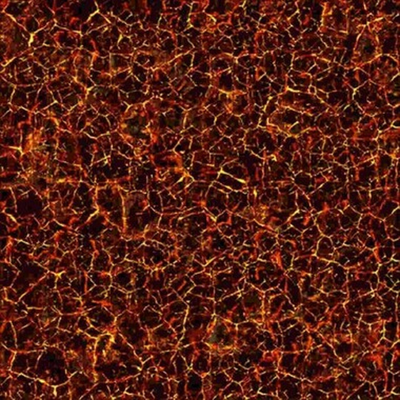 Warlock Magma Chamber 24x24 Map