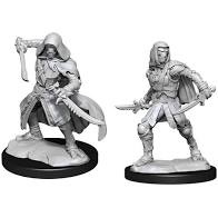 Nozlurs Warforged Rogue