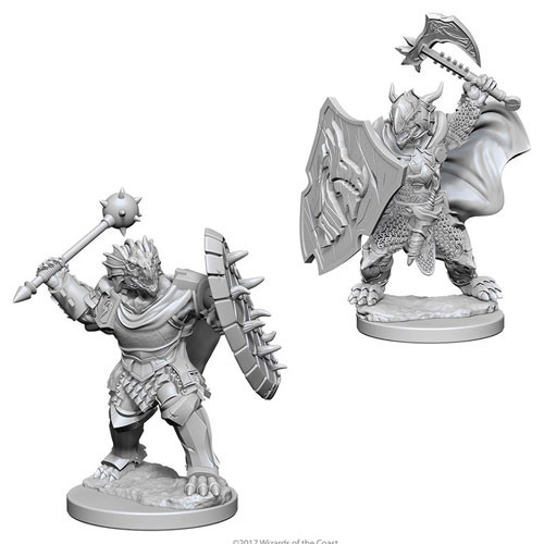 D&D Nolzurs Dragonborn Paladin