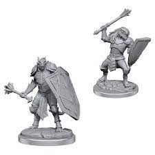 Dragonborn Clerics
